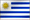 우루과이 국기